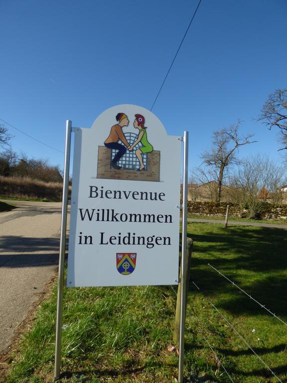 Gite "Vue Sur La Frontiere" Heining-les-Bouzonville Экстерьер фото